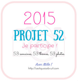 #2015projet52